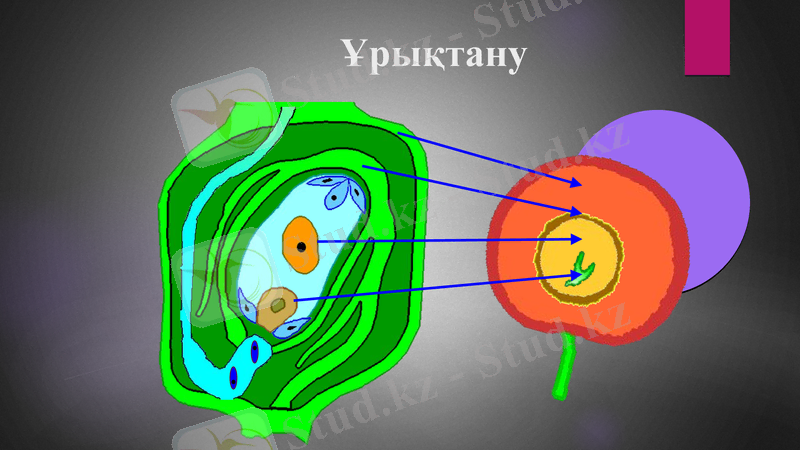 Slide 14