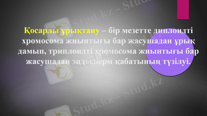 Slide 15