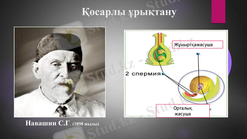 Slide 16
