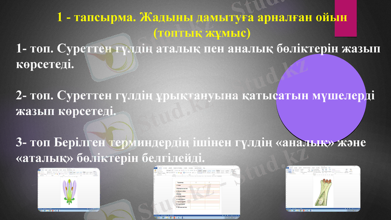 Slide 17