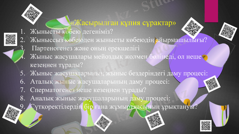 Slide 2