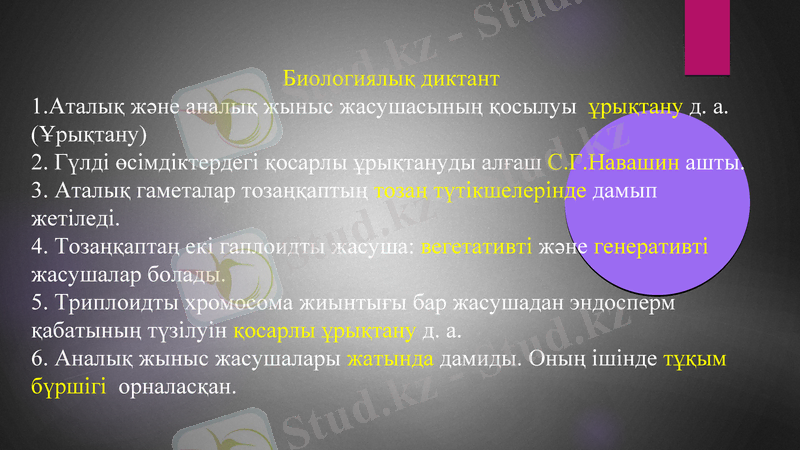 Slide 20