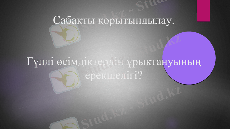 Slide 21