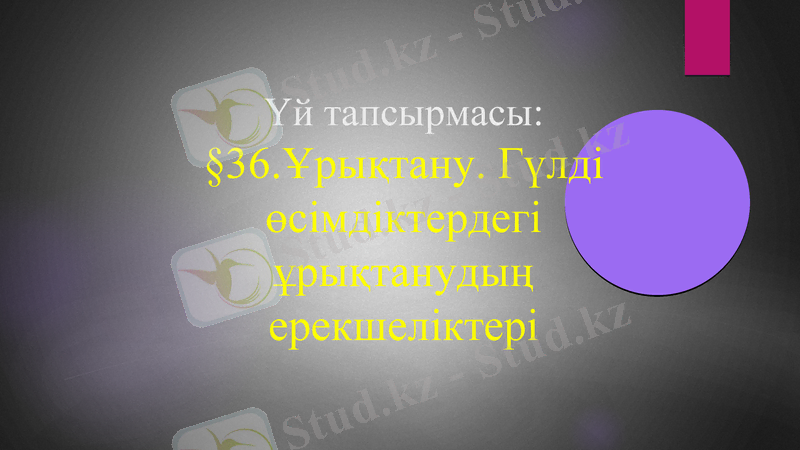 Slide 23