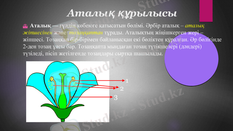 Slide 8