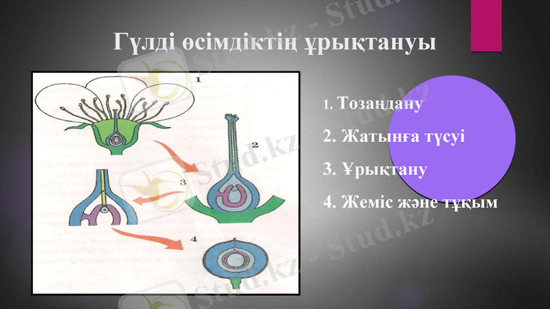 Slide 9