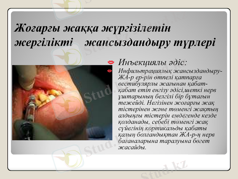 Slide 6