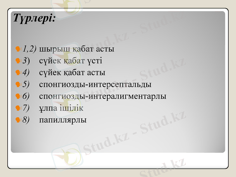 Slide 7