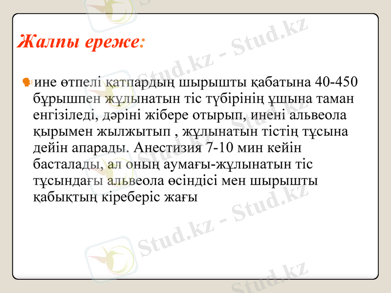 Slide 8