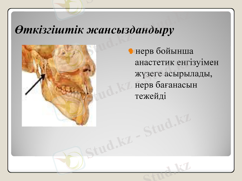 Slide 9