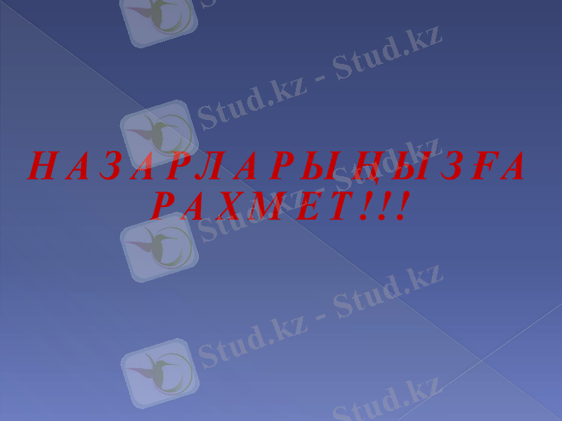 Slide 13