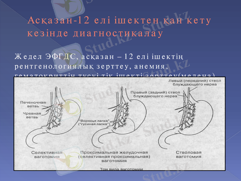 Slide 8
