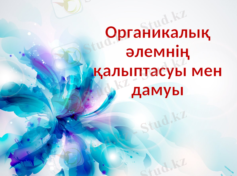 Slide 1