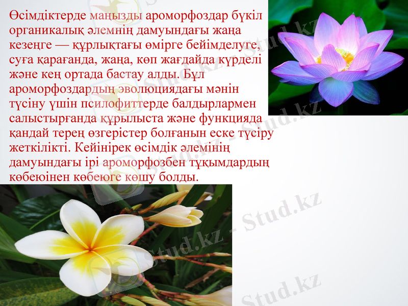 Slide 10