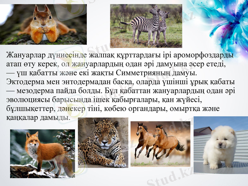 Slide 11