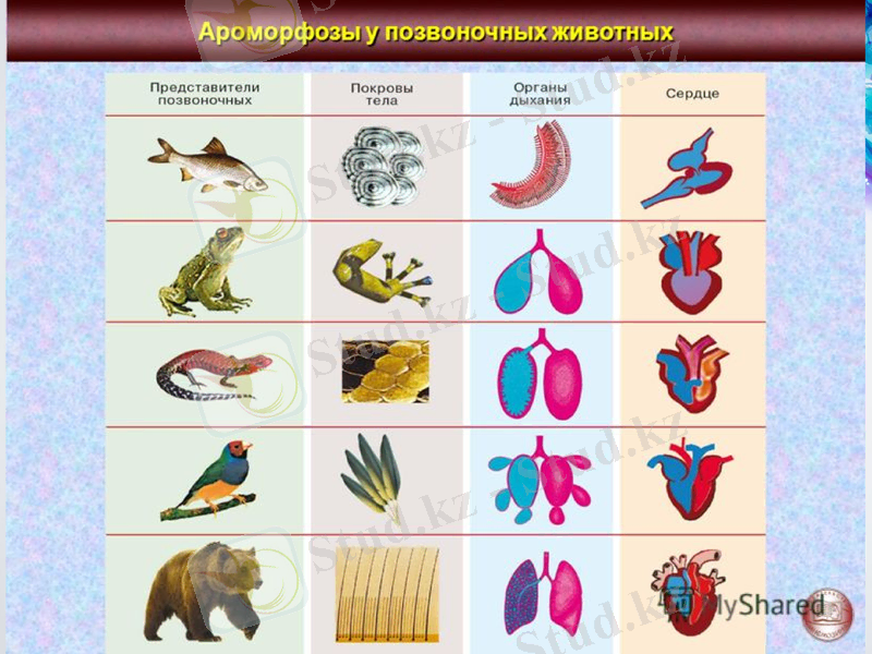 Slide 12
