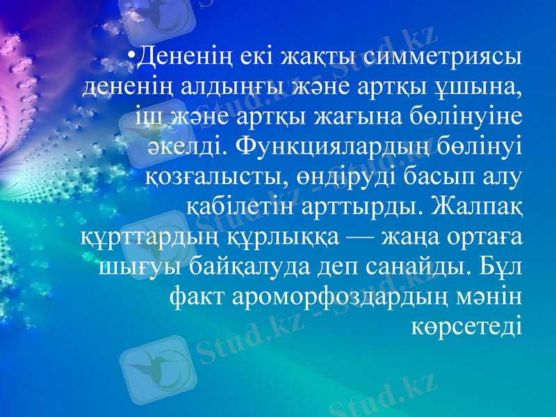 Slide 13