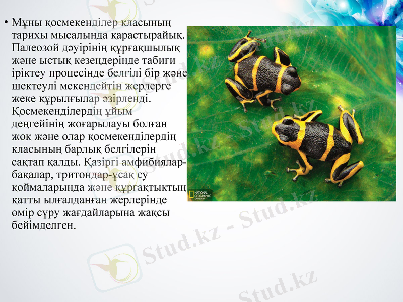 Slide 16