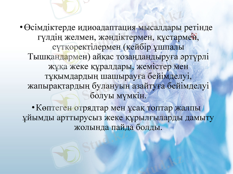 Slide 18