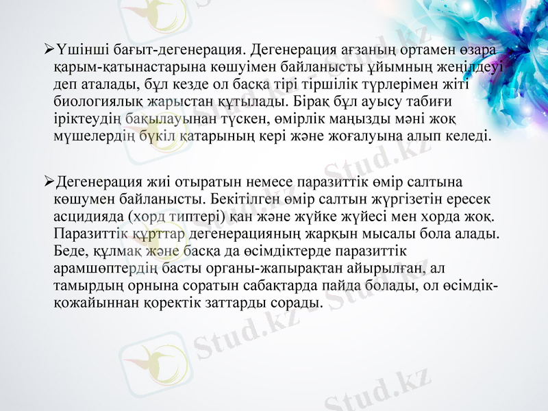 Slide 19