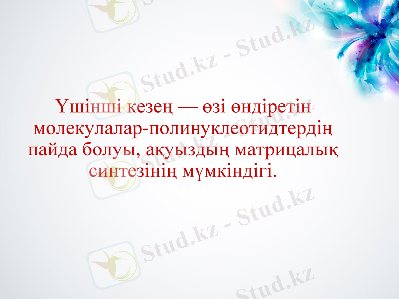 Slide 5