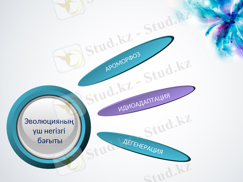 Slide 7