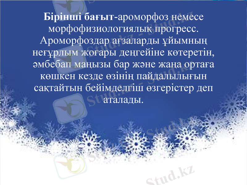 Slide 8