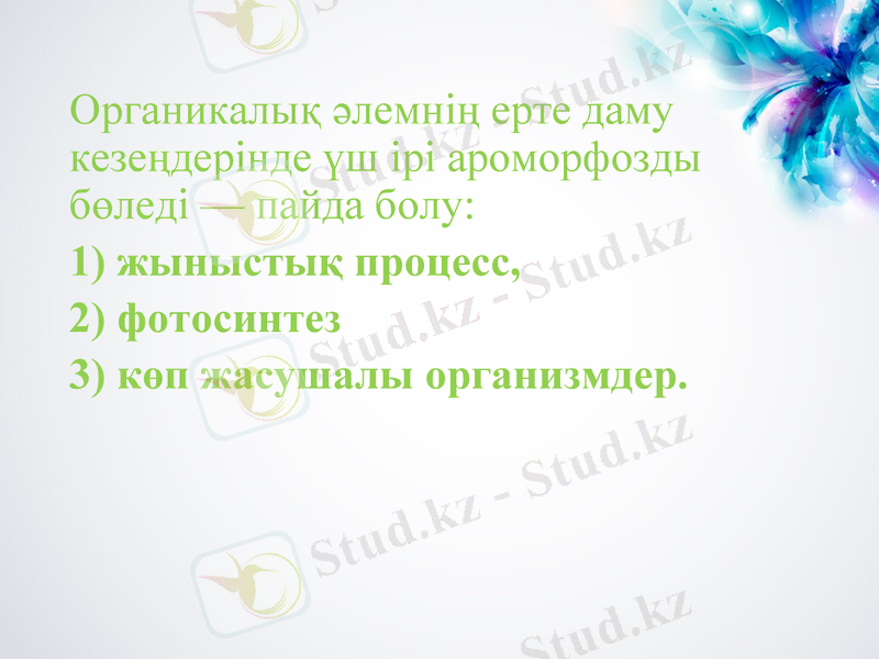 Slide 9