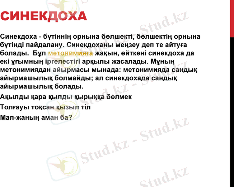 Slide 6