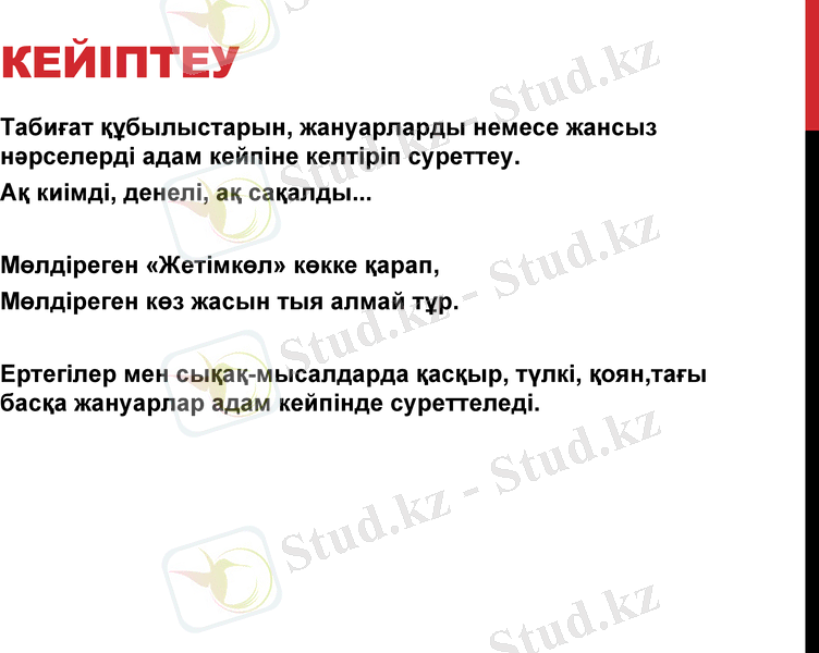 Slide 7