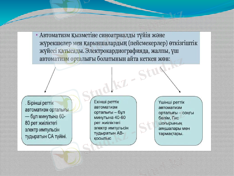 Slide 10