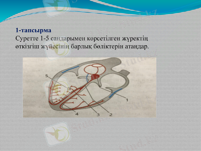 Slide 12