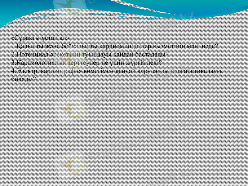Slide 14