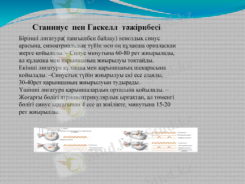 Slide 7