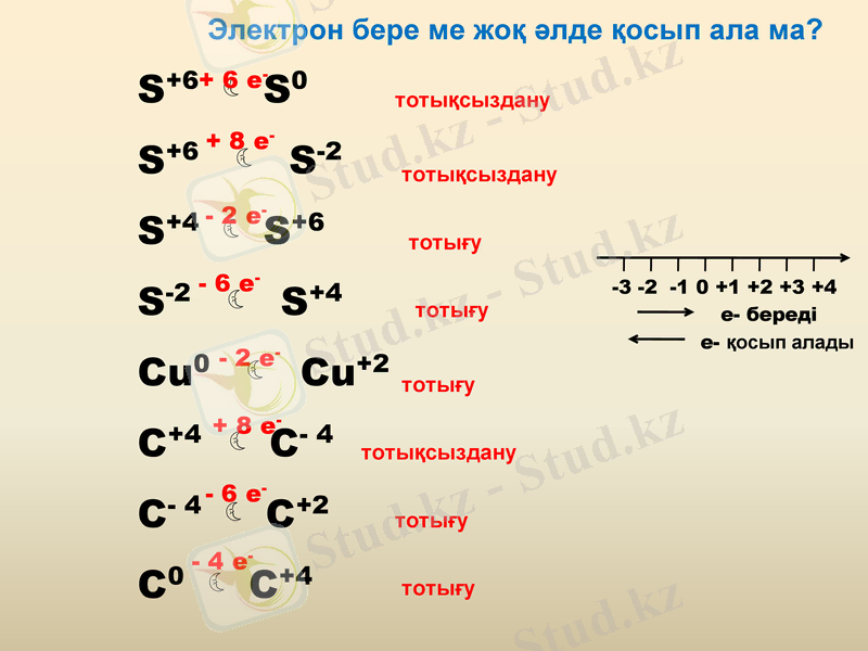 Slide 8