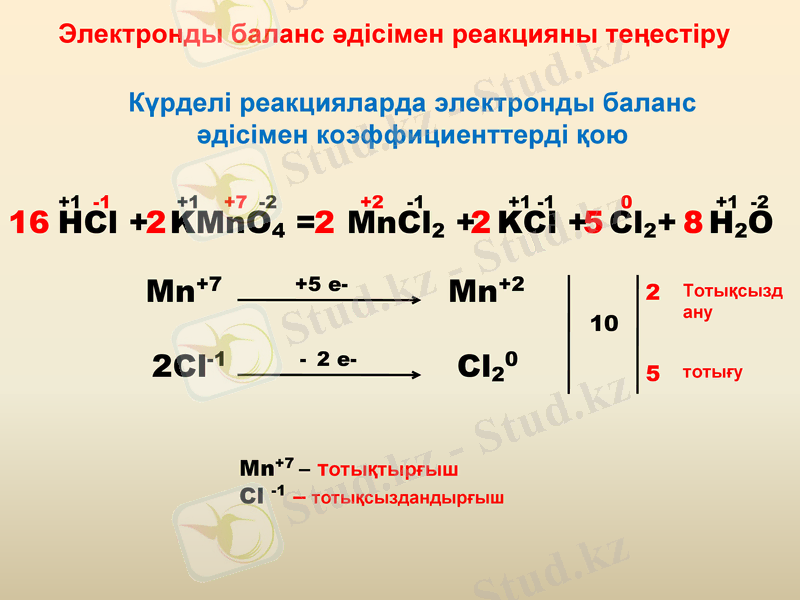 Slide 9