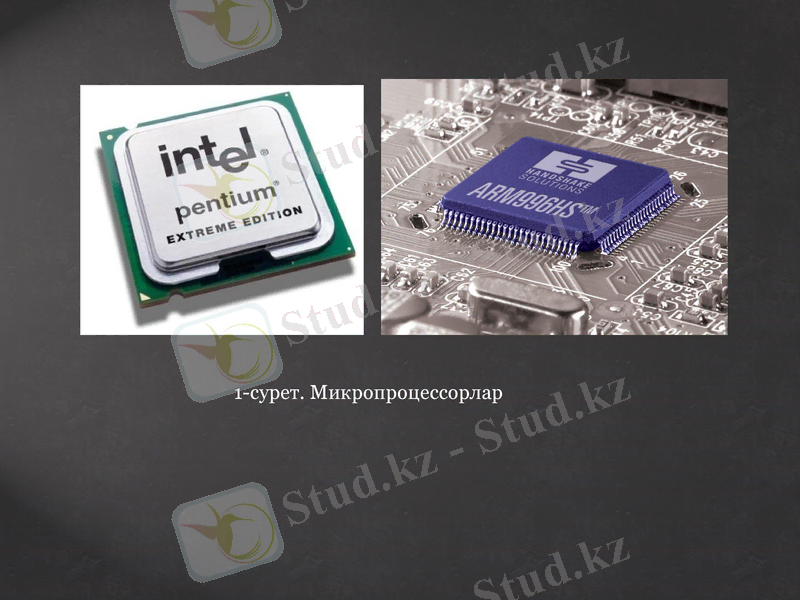 Slide 5