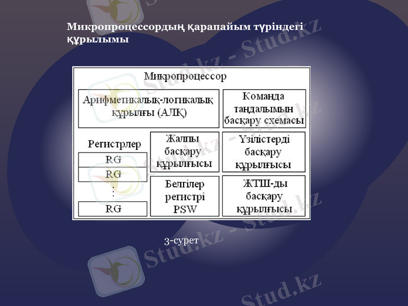 Slide 8