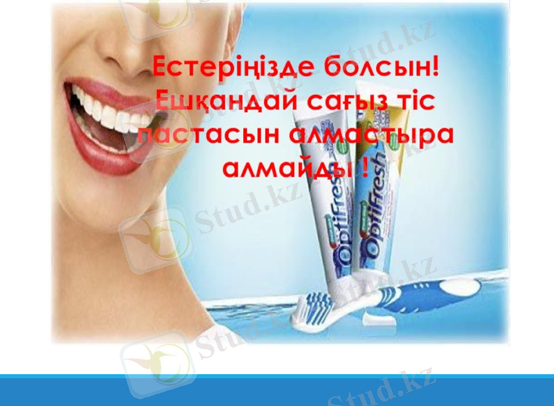 Slide 11