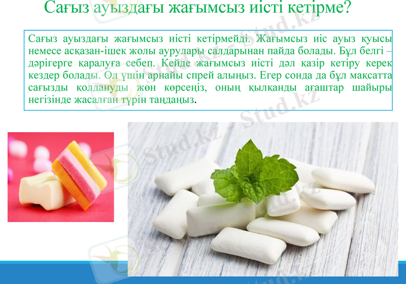 Slide 7