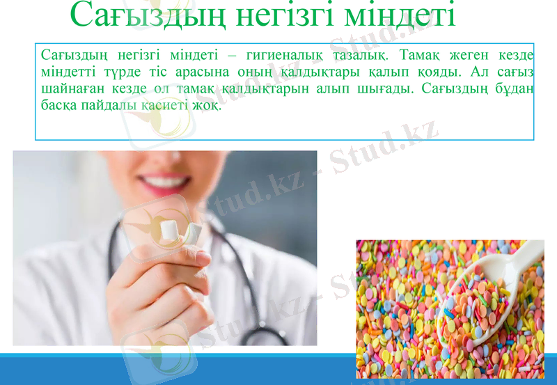 Slide 8