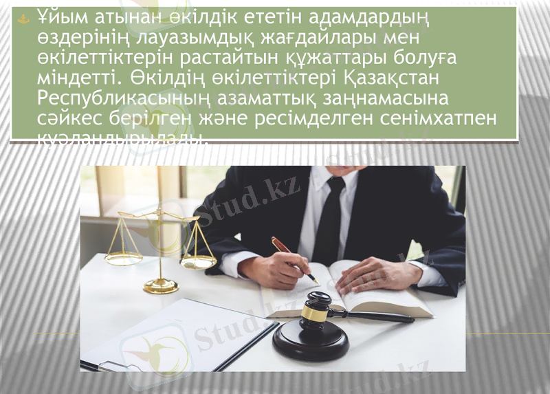 Slide 11