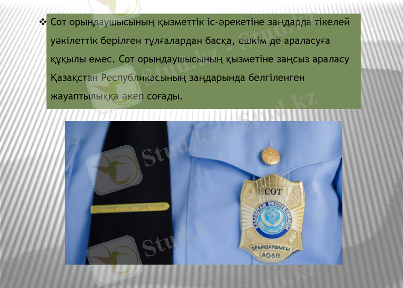 Slide 6