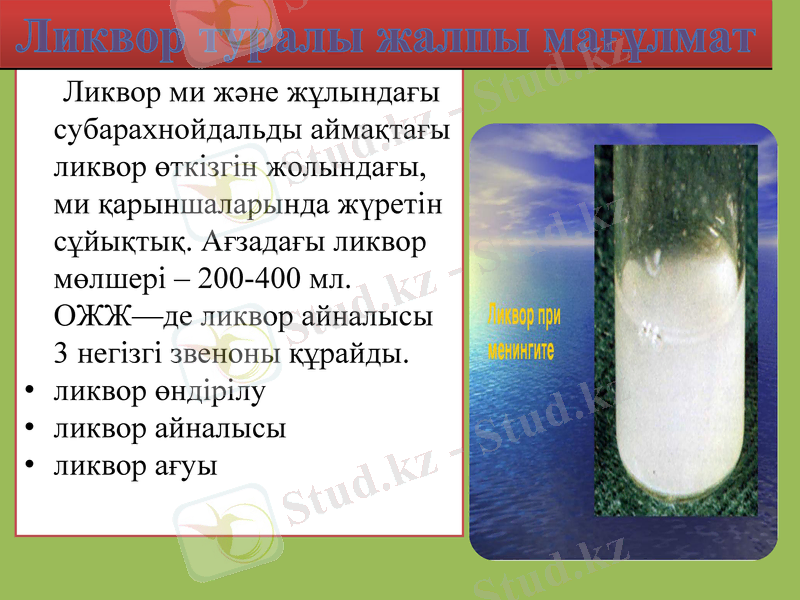 Slide 11