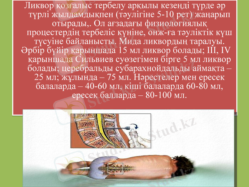 Slide 12
