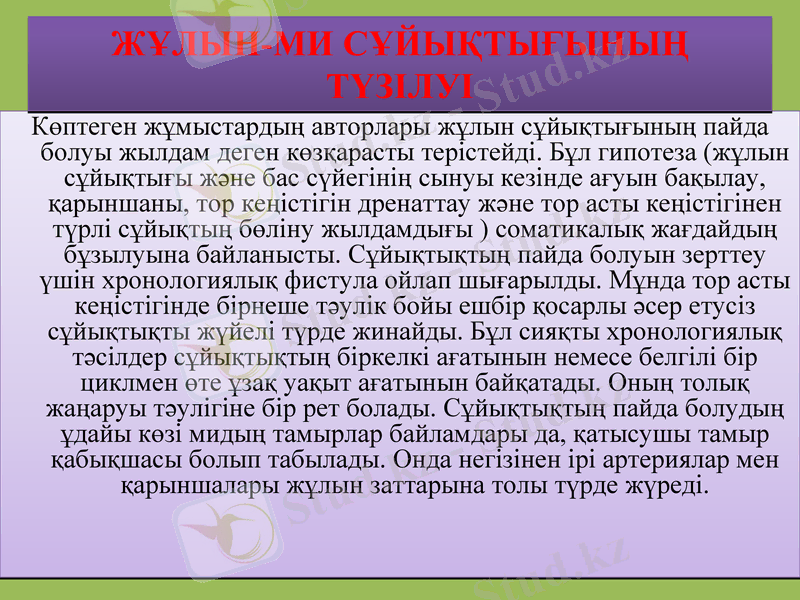 Slide 13
