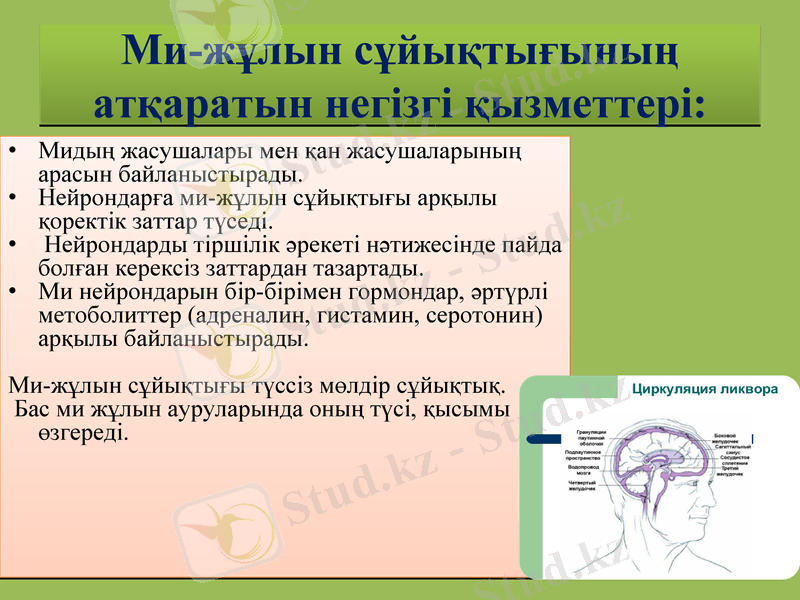 Slide 14