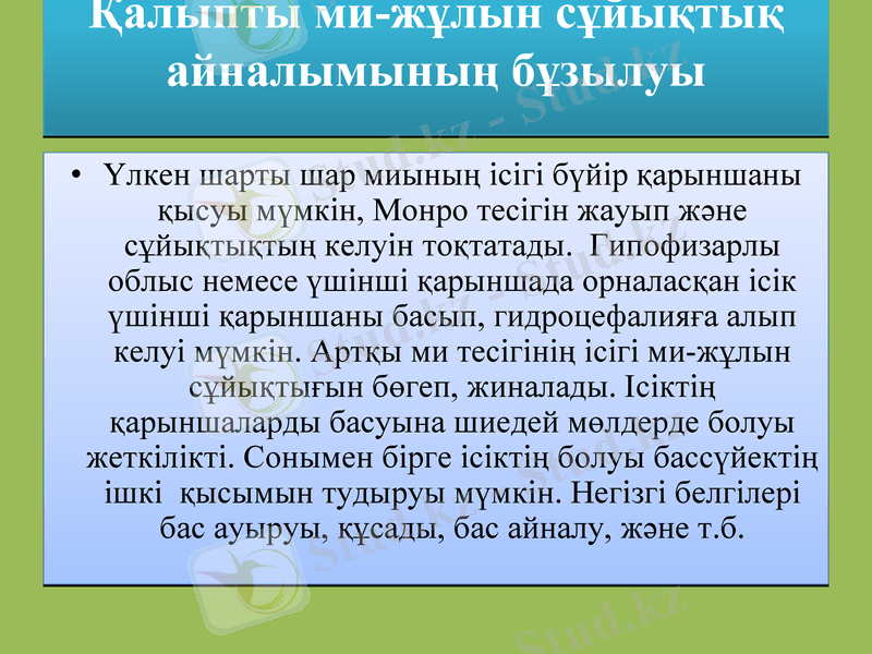 Slide 17