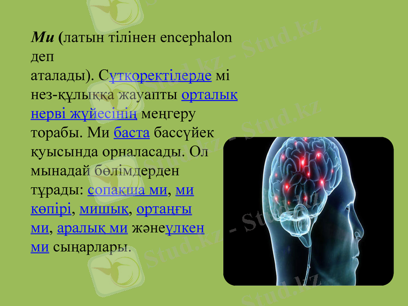 Slide 2