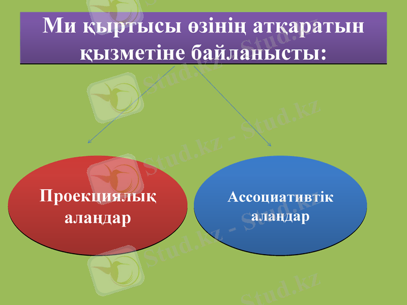 Slide 6